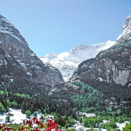 Steinbilla By Interhome Apartamento Grindelwald