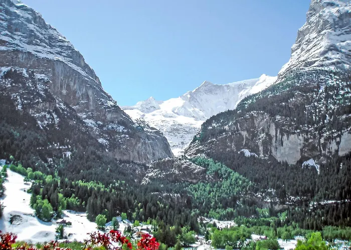 Steinbilla By Interhome Appartement Grindelwald