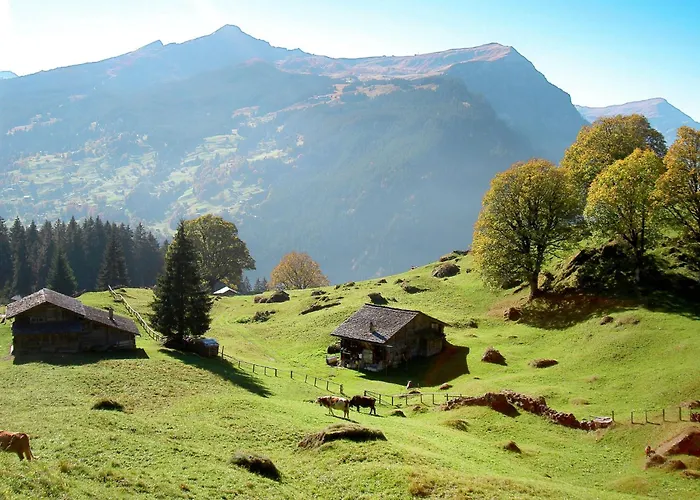 Appartement Steinbilla By Interhome *