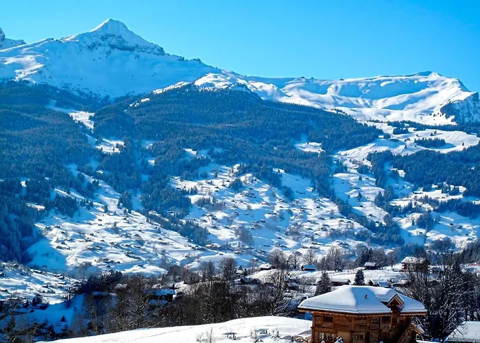 Steinbilla By Interhome Appartement Grindelwald